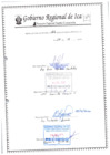 Vista preliminar de documento RESOLUCION JEFATURAL N°126- 2020-GORE.ICA-PETACC