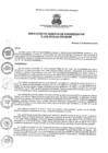 Vista preliminar de documento resolucionga238-2019