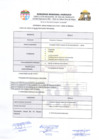 Vista preliminar de documento PERFIL