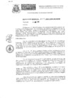 Vista preliminar de documento resoluciongdes022019