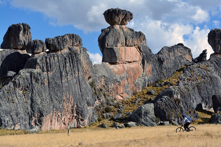 Foto de Santuario Nacional de Huayllay