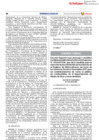 Vista preliminar de documento RS N° 010-2023-EM