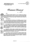 Vista preliminar de documento RESOLUCION DIRECTORAL N°132-2023-DG-DIRIS-LC