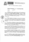 Vista preliminar de documento resoluciongdes252019