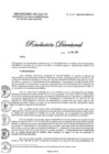 Vista preliminar de documento RESOLUCION DIRECTORAL N°133-2023-DG-DIRIS-LC