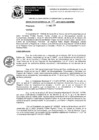 Vista preliminar de documento resoluciongdes282019