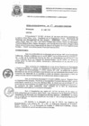 Vista preliminar de documento resoluciongdes342019