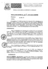 Vista preliminar de documento resoluciongdes492019