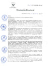 Vista preliminar de documento RD N 173-2017 DG