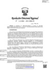 Vista preliminar de documento RDR-1199-2022-DRELM