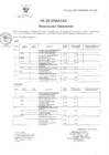 Vista preliminar de documento RD 176-2017 DG -FE de ERRATAS