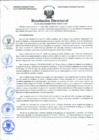 Vista preliminar de documento RD N°133-2023