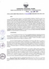 Vista preliminar de documento RDR N° 0333-2023-19-06-2023