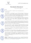 Vista preliminar de documento RD 191-2017 DG