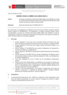 Vista preliminar de documento IT_009-2021-SERVIR-GDGP-A: Conclusión de asignación del Gerente Público Mateo Cayo Mancilla