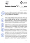 Vista preliminar de documento RD_133_2023 10-04-2023PIWya