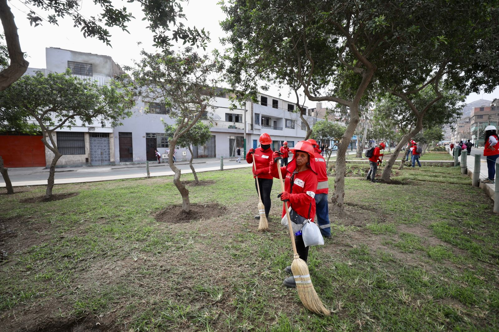Lurawi Perú en La Victoria