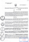 Vista preliminar de documento RD N°0055
