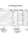 Vista preliminar de documento Estado de cambios en el patrimonio neto 4to Trimestre