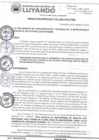 Vista preliminar de documento RESOLUCION GERENCIAL 001 