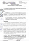 Vista preliminar de documento RESOLUCION GERENCIAL 007