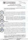 Vista preliminar de documento RESOLUCION GERENCIAL 008 A FINANZAS
