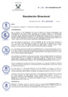 Vista preliminar de documento RD 193-2017 DG