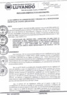 Vista preliminar de documento RESOLUCION GERENCIAL 014 
