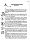 Vista preliminar de documento RGM Nº 196-2023