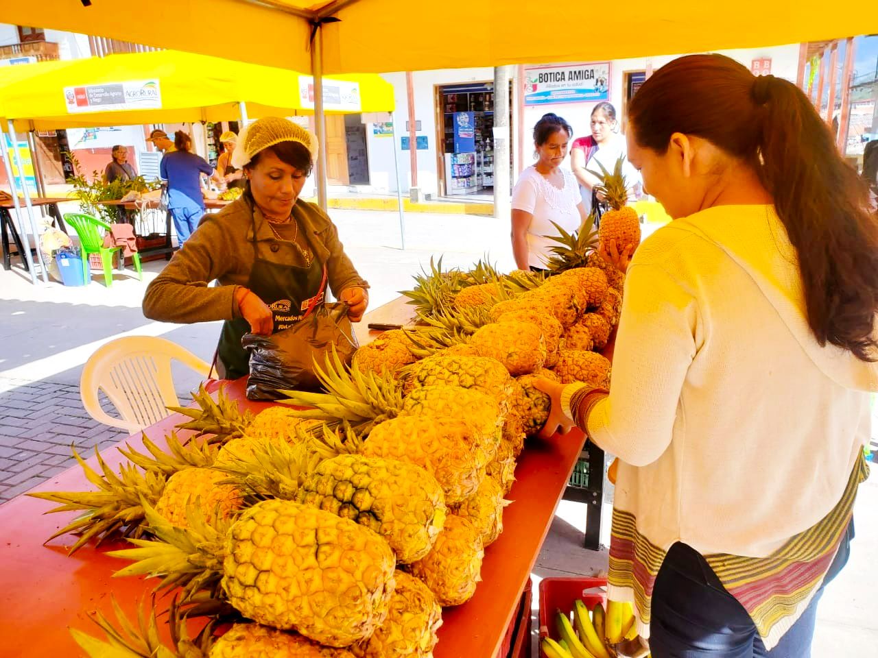Mercados itinerantes "De la Chacra a la Olla"