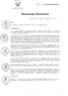 Vista preliminar de documento RD 204 -2017 DG