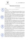 Vista preliminar de documento RD 205-2017 DG