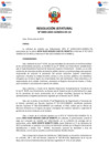 Vista preliminar de documento Resolución