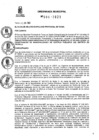 Vista preliminar de documento OM 006-2023