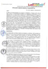 Vista preliminar de documento RESOLUCION DE GERENCIA MUNICIPAL N° 155-2023-GM/MDSJL TpjkU