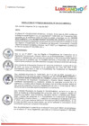 Vista preliminar de documento RESOLUCION DE GERENCIA MUNICIPAL N° 241-2023-GM/MDSJLhS4FI