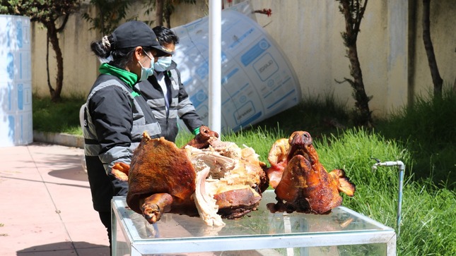 Incautan lechón en estado de descomposición