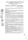 Vista preliminar de documento RIT