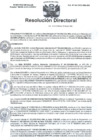 Vista preliminar de documento RD N°242-2023-HMA-DG