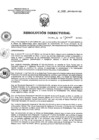 Vista preliminar de documento RD 088-2023-SA-DG-INR