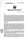 Vista preliminar de documento RD N° 229-2023-DG-INMP/MINSA
