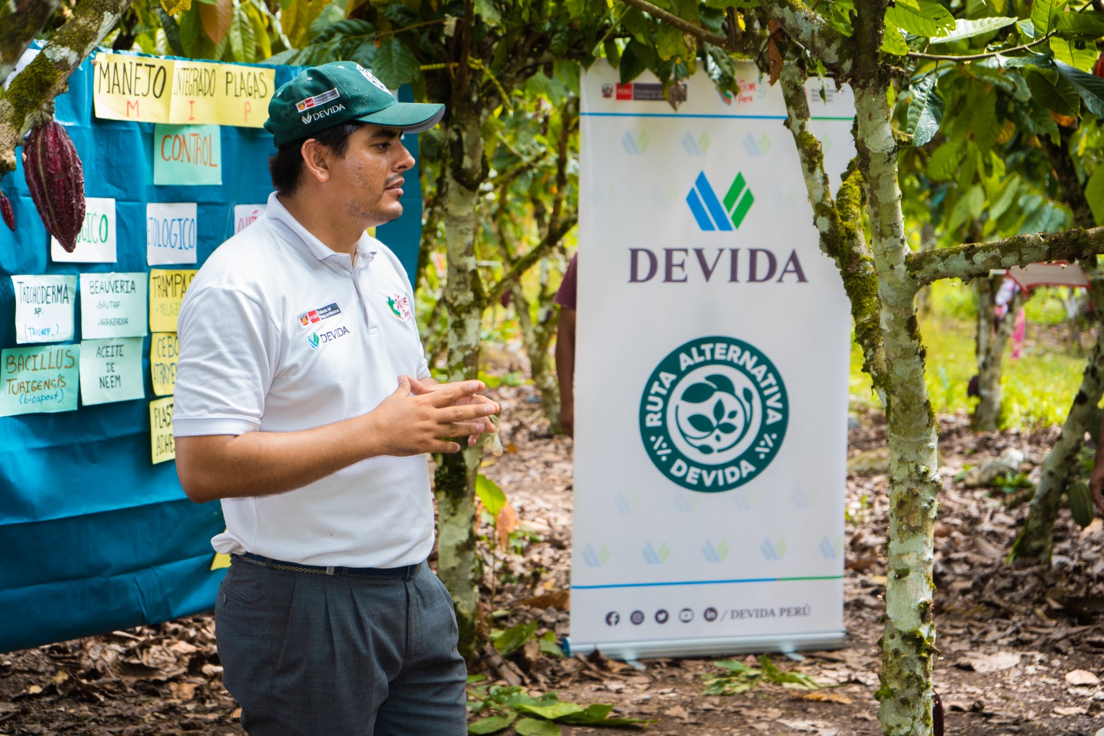 Devida