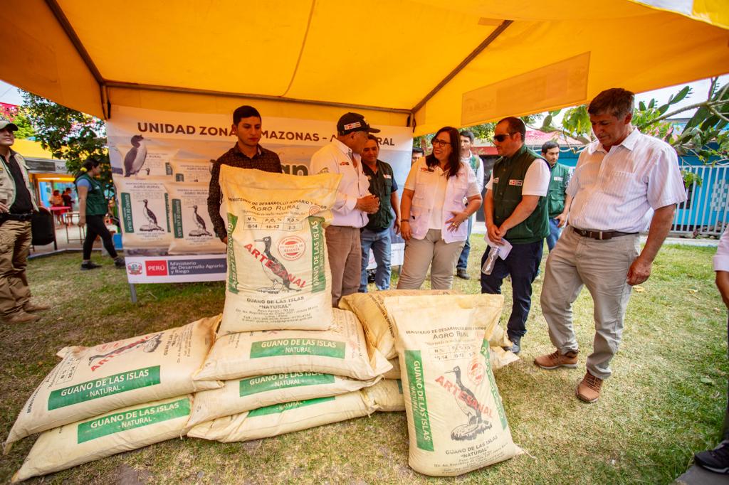 Campaña de pastos cultivados - San Martín
