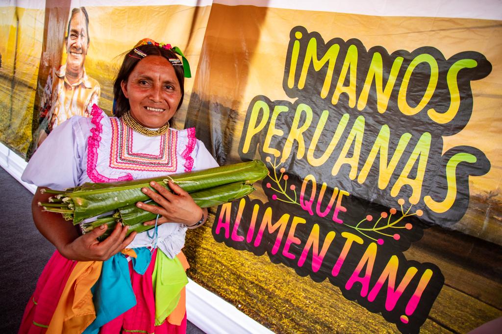 Campaña de pastos cultivados - San Martín