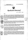 Vista preliminar de documento RD N° 242-2023-DG-INMP/MINSA