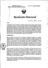 Vista preliminar de documento RD N° 248-2023-DG-INMP/MINSA