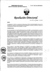 Vista preliminar de documento RD N° 255-2023-DG-INMP/MINSA