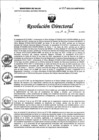 Vista preliminar de documento RD N° 257-2023-DG-INMP/MINSA