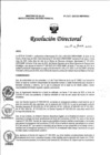 Vista preliminar de documento RD N° 262-2023-DG-INMP/MINSA