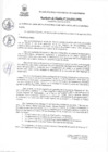 Vista preliminar de documento RAN333-2023
